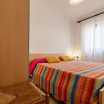 Longa * ايزولا روسا